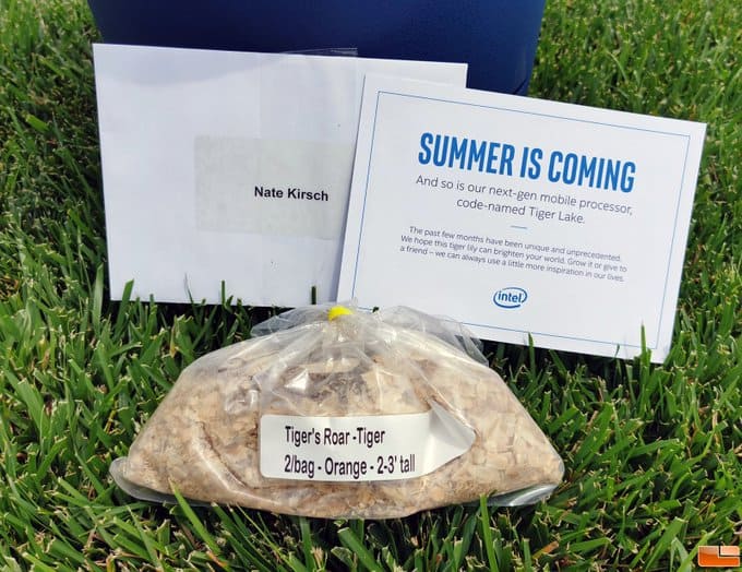 Intel Sends Out “The Tiger Roars” Marketing Kits To Promote Tiger Lake CPUs