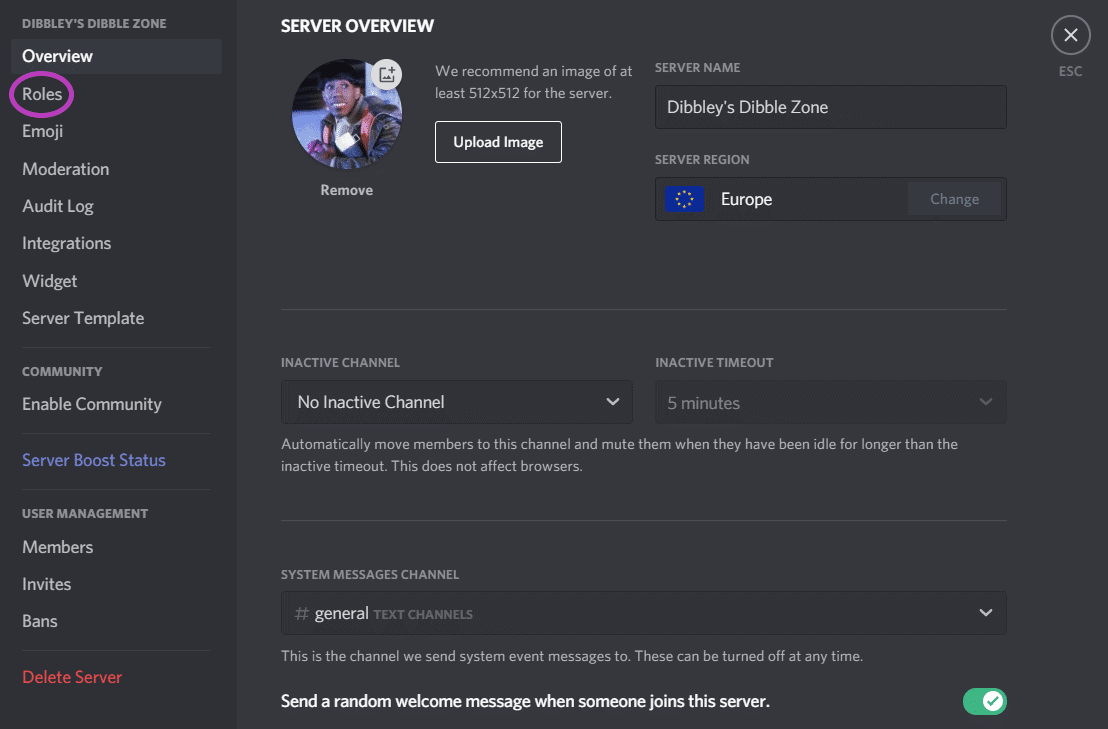 How To Enable Manage Emojis On Discord 1