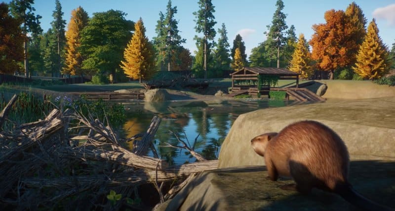 Planet Zoo beaver 1