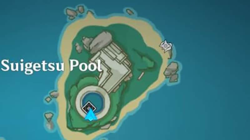 Suigetsu Pool
