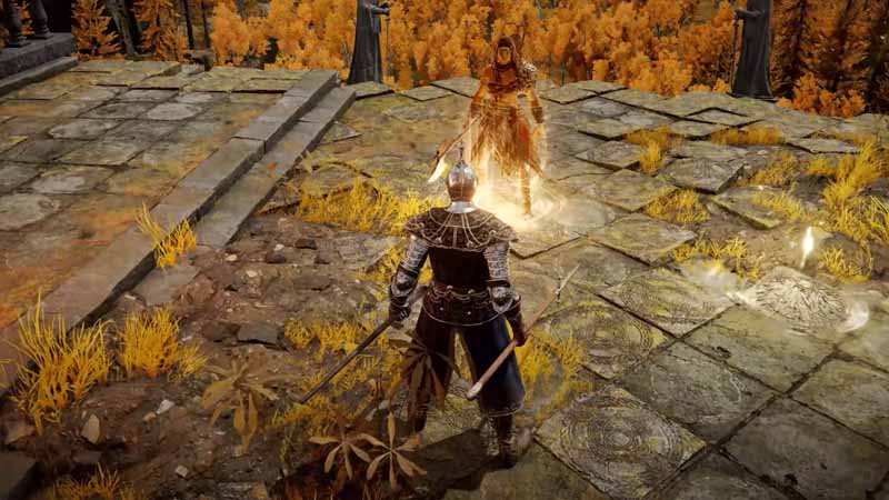 Elden Ring Multiplayer – Will it be available and how will it work?