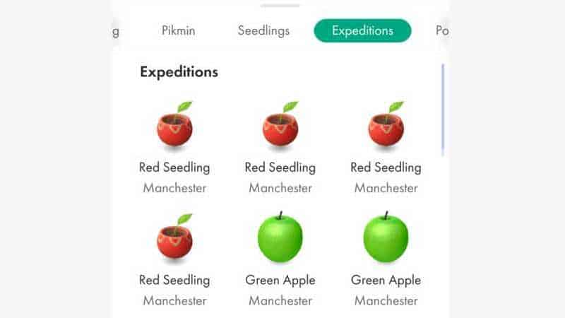 hot to send pikmin bloom expeditions