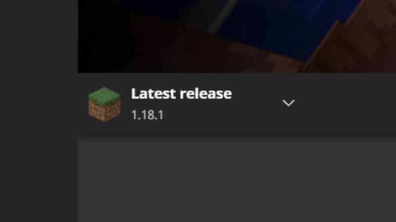 how to play on Minecraft 1.18.1