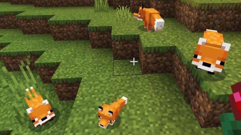 How to tame breed fox in Minecraft