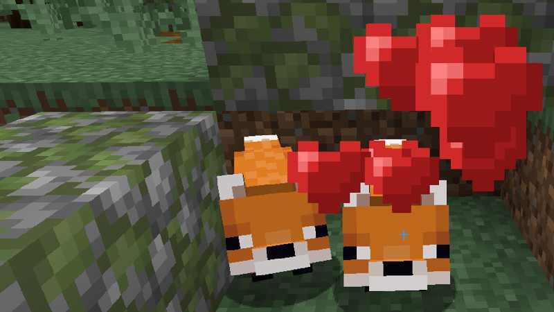 How do you breed tame foxes in Minecraft