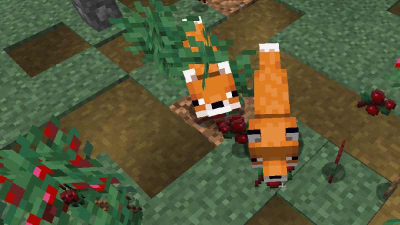 Minecraft Foxes tame breed carry items farm berries