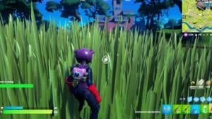 where to find fortnite tall grass locations