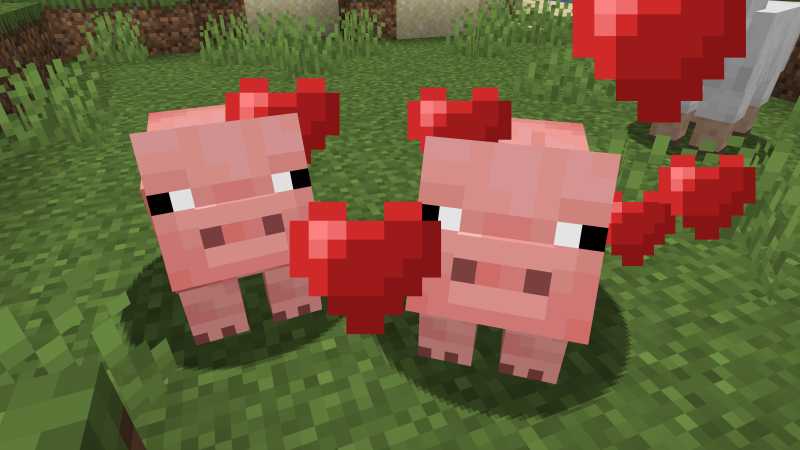 How do you breed animals in Minecraft? | WePC