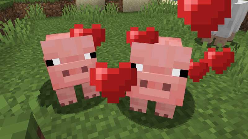 How do you breed animals in Minecraft?