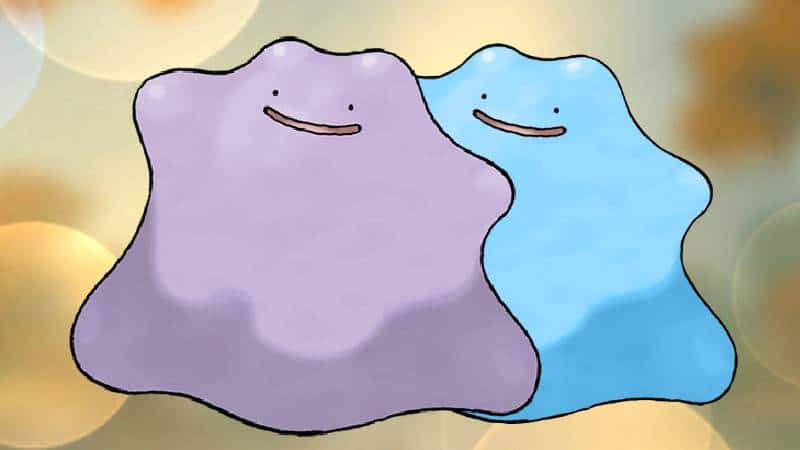 Pokémon ditto and shiny ditto 2 2 - transform