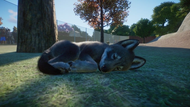 Planet Zoo Wolf Pup