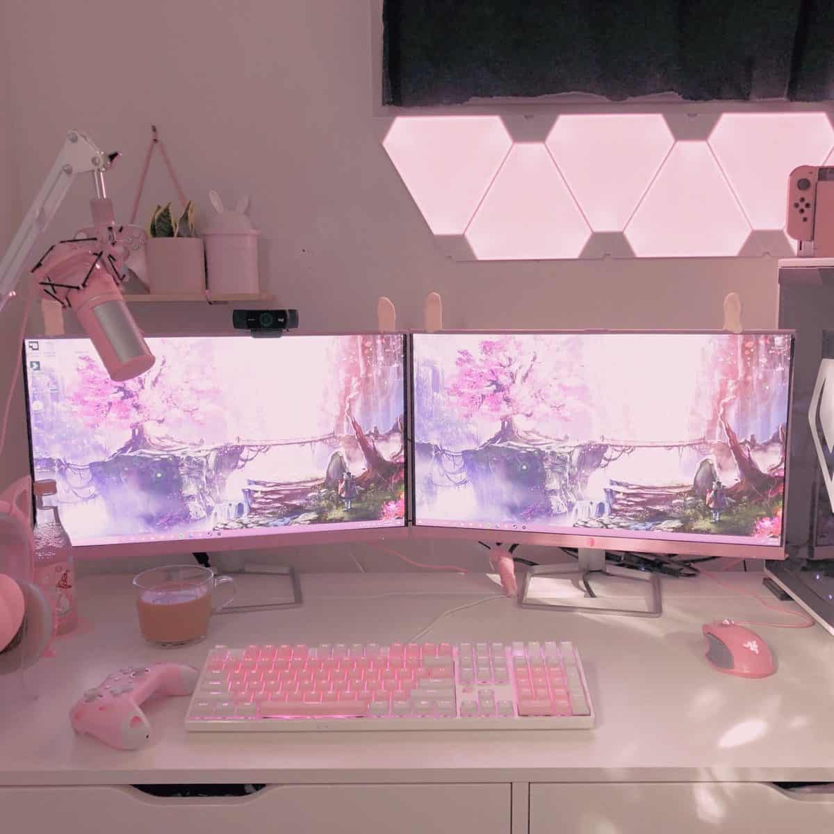 pink gaming setup