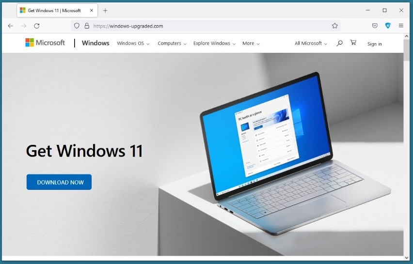Fake Windows 11 installer