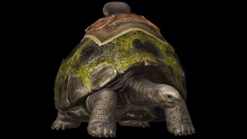How to get a turtle mount in Lost Ark