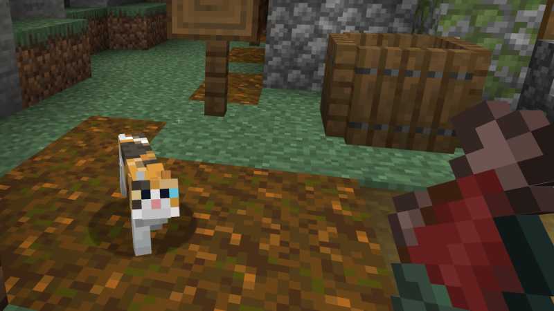 Cat coming to fish Minecraft