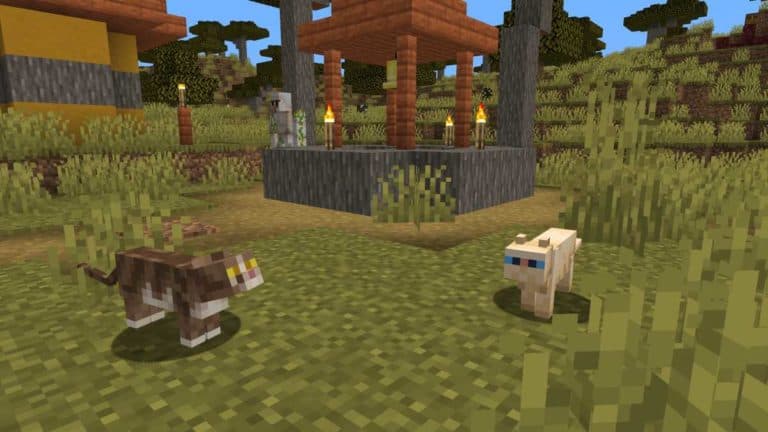 Minecraft cats