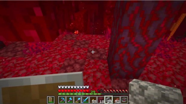 Nether Wart