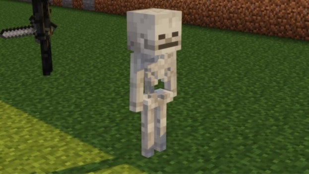 All you need to know about the Minecraft Skeleton