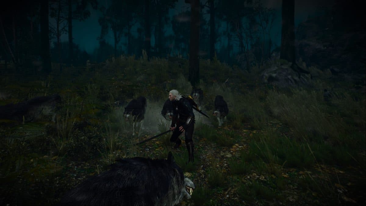 The Witcher 3 Fighting
