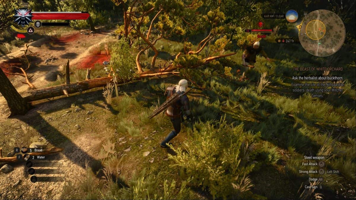 The Witcher 3 Spawning Bandits