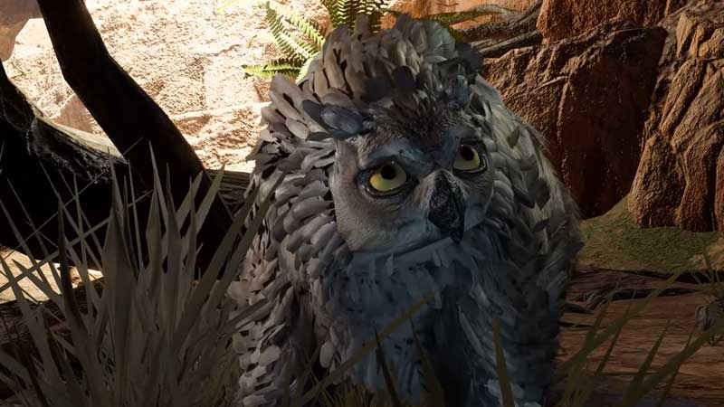 How to get the Owlbear cub in Baldur’s Gate 3?