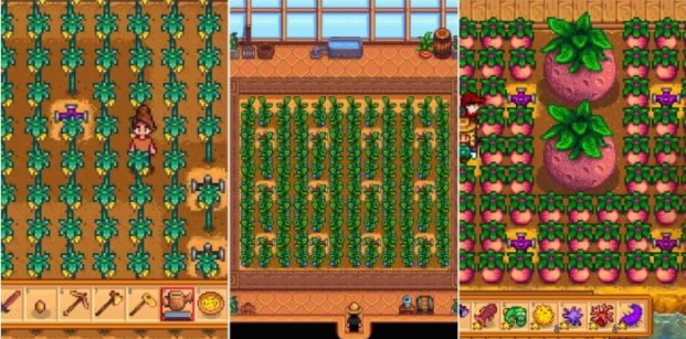 How to Unlock The Greenhouse in Stardew Valley