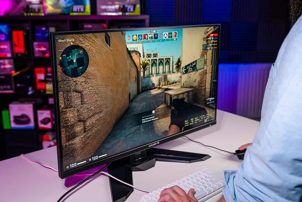 What monitor should I get?
