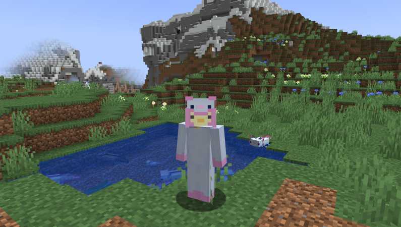 Minecraft Skindex Axolotl skin