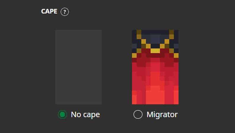 Minecraft skin cape