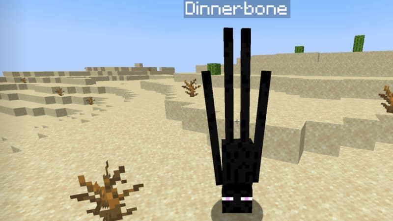 Dinnerbone Enderman Name Tag Trick Minecraft