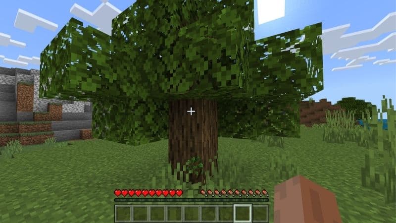 Find a tree