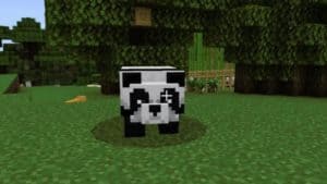 How To Tame A Panda In Minecraft