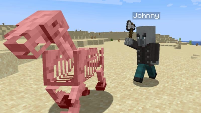 Johnny Minecraft Vindicator Name Tag Trick
