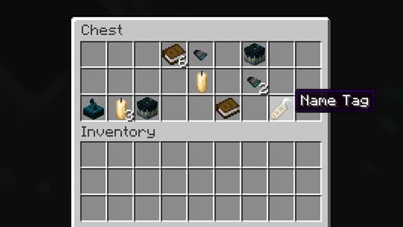 Name Tag Ancient City Chest Minecraft