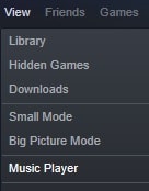 Steam Music Player