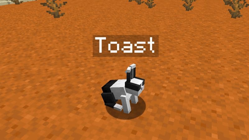 Toast Rabbit Minecraft Name Tag Trick