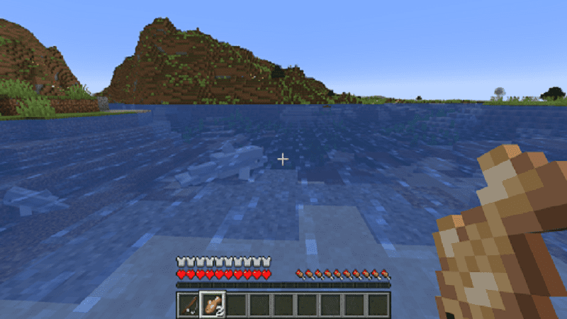 What do dolphins eat in Minecraft?  What kind of food?