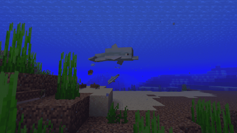 What Do Dolphins Eat In Minecraft