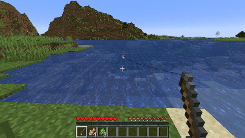 Where can you get dolphin food in Minecraft?