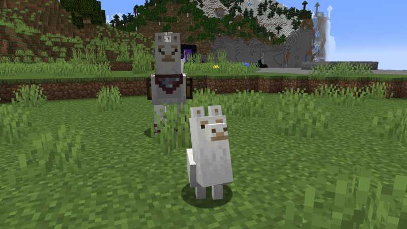 Baby Llama Minecraft