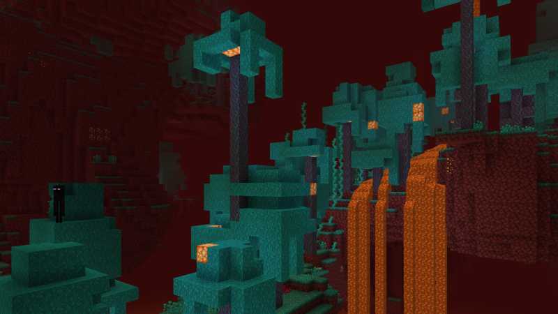Enderman Warped Forest Minecraft