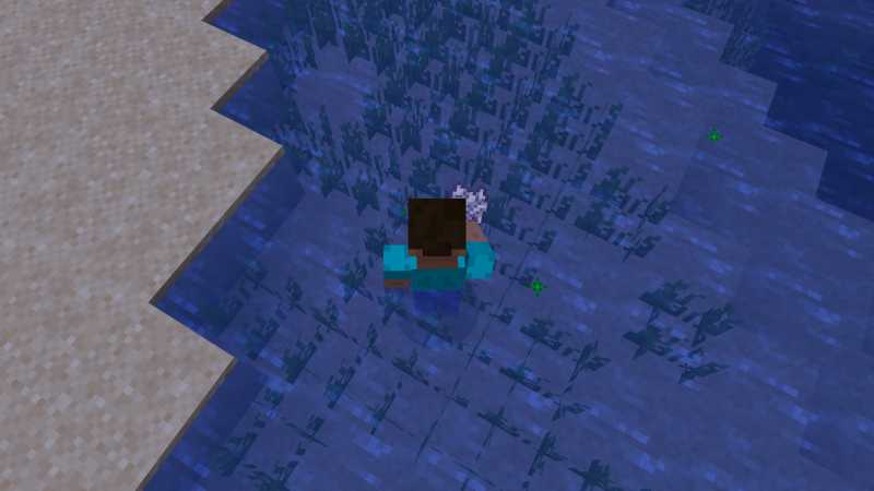 How to grow Seagrass Minecraft
