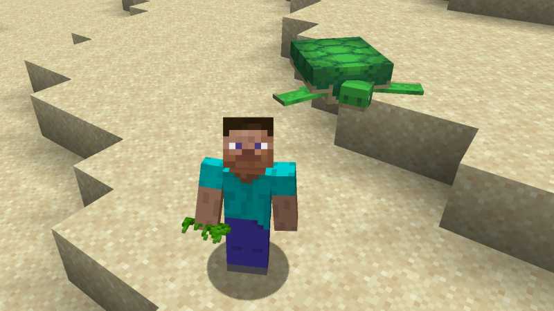 Luring Turtles with Seagrass Minecraft