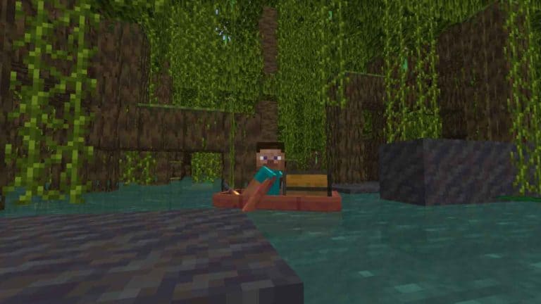Minecraft Mangrove Swamp