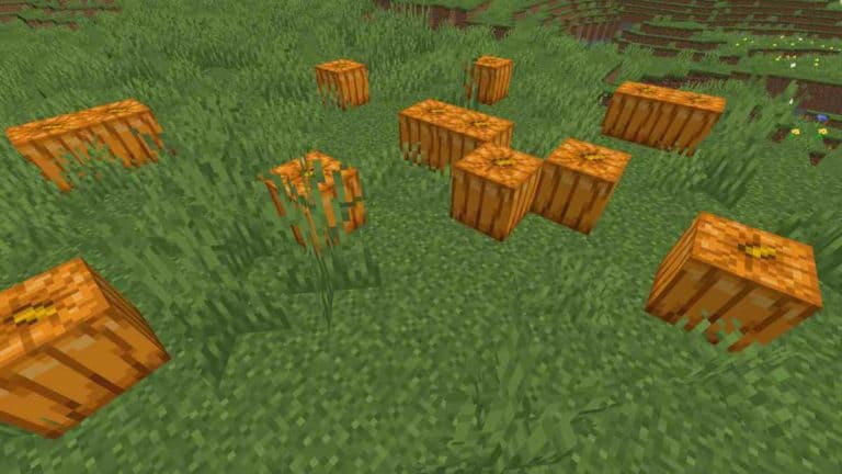 Minecraft Pumpkins