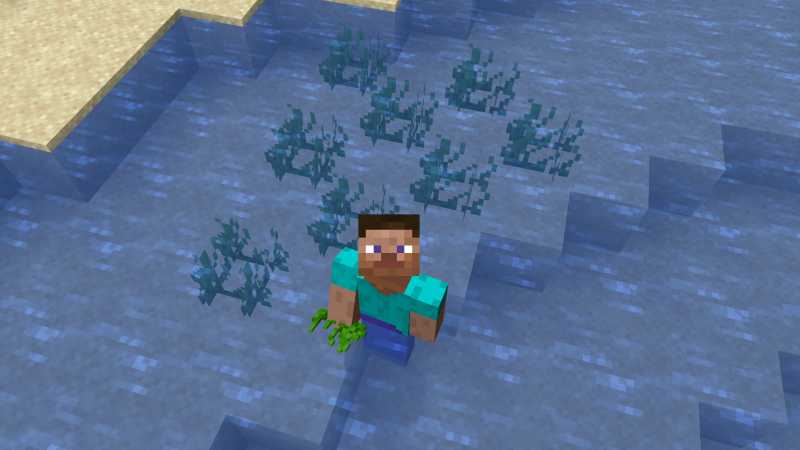 Place Seagrass in Minecraft