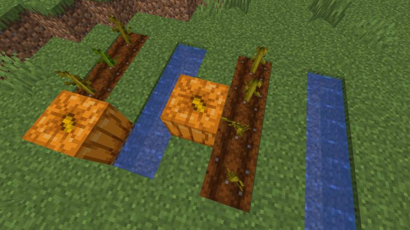 Ferme de citrouilles Minecraft