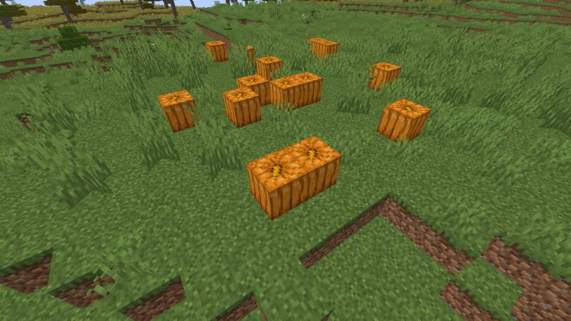 Dónde encontrar calabazas en Minecraft