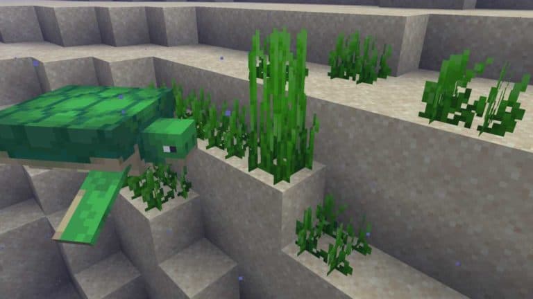Seagrass Turtle Minecraft