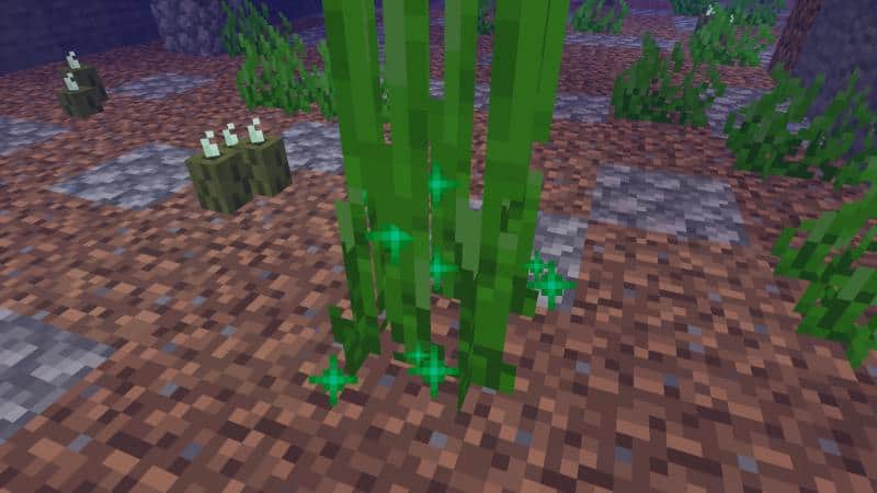 minecraft tall seagrass